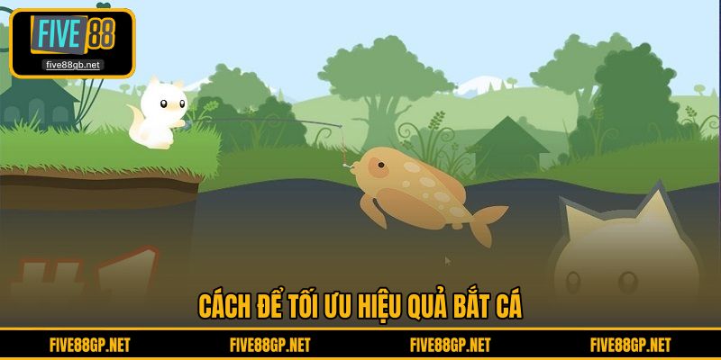 Cách để tối ưu hiệu quả bắt cá