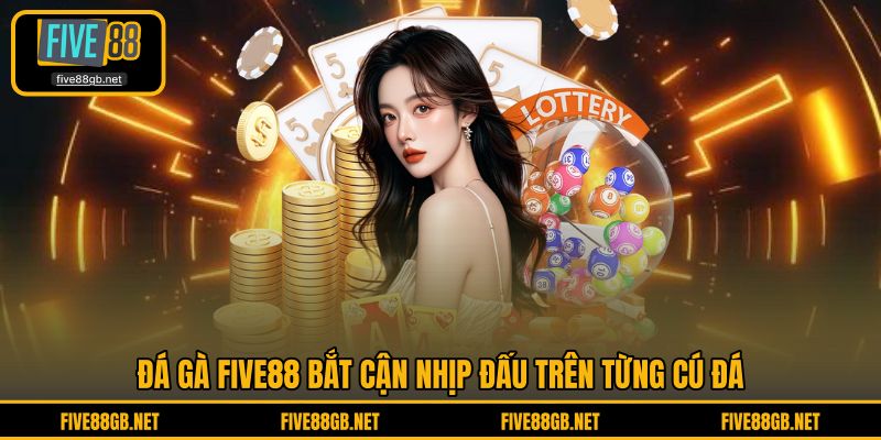 Đá Gà FIVE88 bắt cận nhịp đấu trên từng cú đá